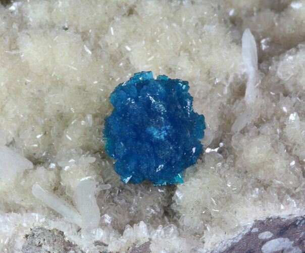 Vibrant Blue Cavansite Cluster on Stilbite - India #64800